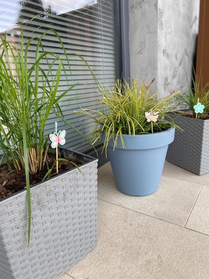 Appartamento Apartament Kolobrzeg Resort